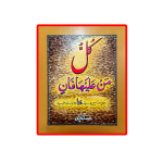 Vibrant Islamic Calligraphy