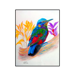Vibrant Kingfisher The Jeweled Bird